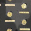 Gouden Queens Beast - Complete serie 1/4 oz (10 munten) met doos