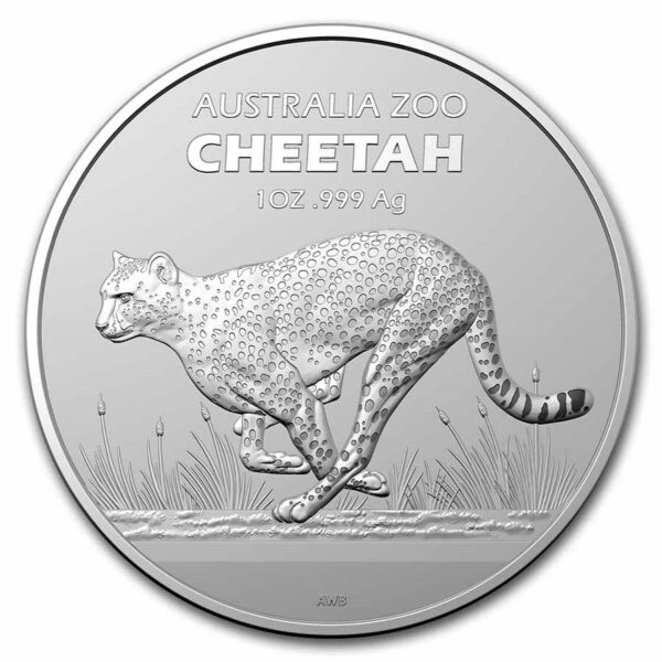 cheetah