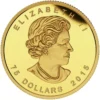 75 dollar 2015 Fifa Women