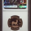 1/2 krugerrand 2005