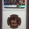 Gouden 1/2 oz Krugerrand 2006 PF69 UCAM NGC